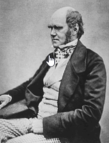 Darwin Charles
