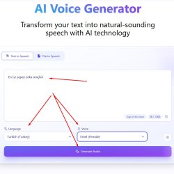 Sohbet kısmına içeriğinizi girin, dil kısmında seçiminizi yapın ve seslendircek kişi seçiminden sonra GENERATE AUDIO butonuna basın.